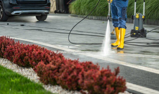 Professional Pressure Washing in Caon City, CO